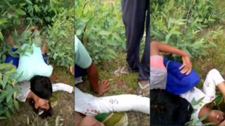Desi Girl Caught & Gangbang Sex Video – Mmsviral In Video